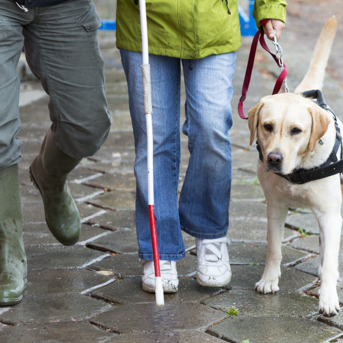 Visually Impaired Services